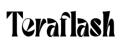 Teraflash - logo